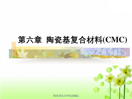 陶瓷基复合材料(CMC)