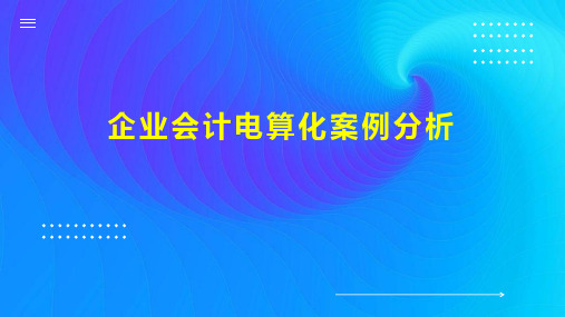 企业会计电算化案例分析