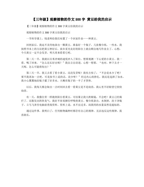 【三年级】观察植物的作文500字 黄豆给我的启示