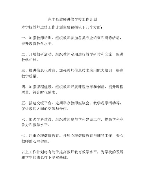 东丰县教师进修学校工作计划