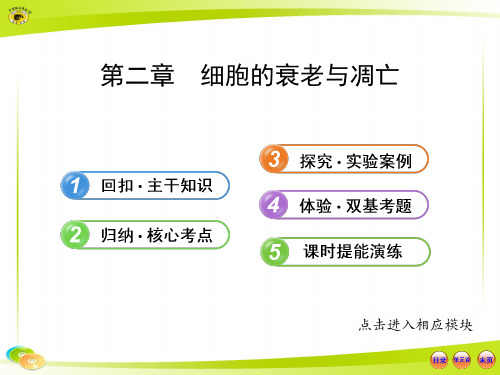 【最新】版高中生物全程复习方略配套课件(中图版)：1.4.2细胞的衰老与凋亡