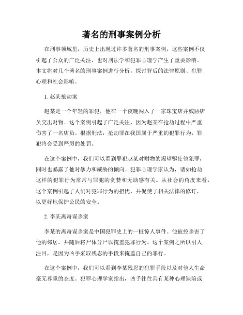 著名的刑事案例分析