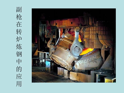 达涅利·康利斯副枪系统介绍
