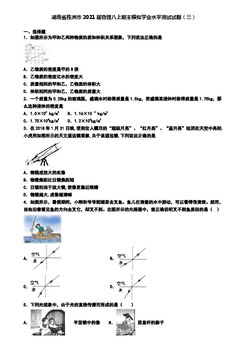 湖南省株洲市2021届物理八上期末模拟学业水平测试试题(三)