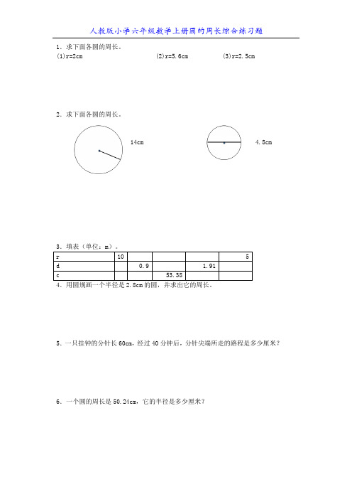 人教版小学六年级数学上册圆的周长综合练习题10