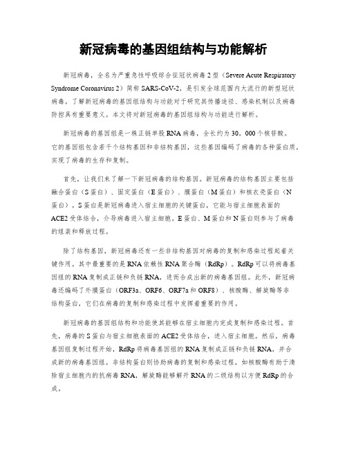 新冠病毒的基因组结构与功能解析