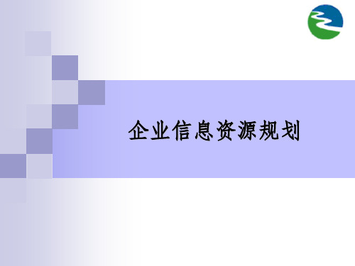 《企业信息资源规划》PPT课件