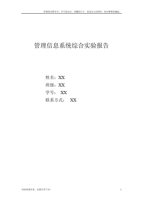 李宁公司——管理信息系统报告(新)