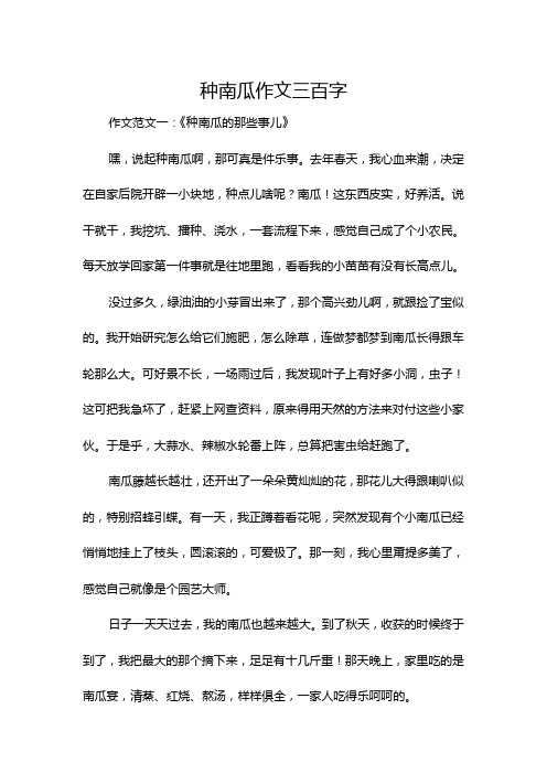 种南瓜作文三百字