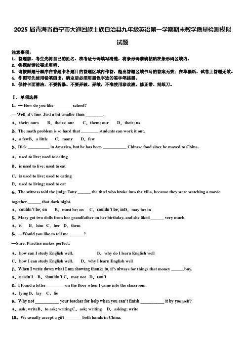 2025届青海省西宁市大通回族土族自治县九年级英语第一学期期末教学质量检测模拟试题含解析