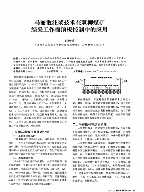 马丽散注浆技术在双柳煤矿综采工作面顶板控制中的应用