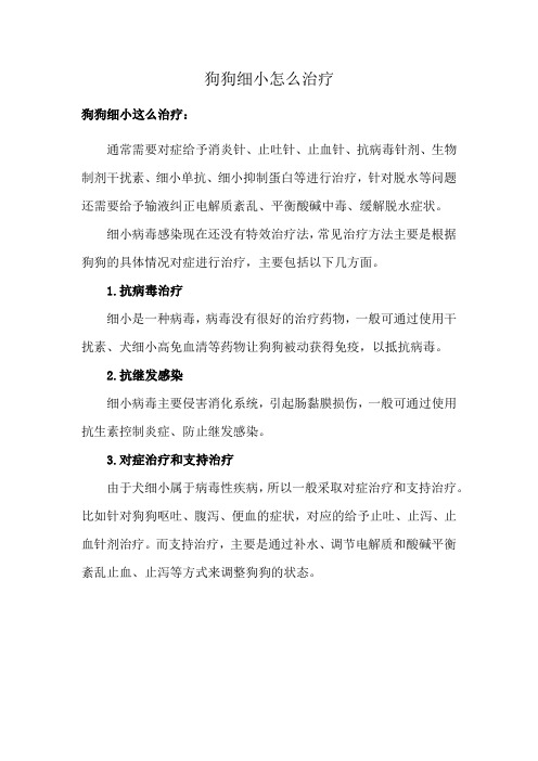 狗狗细小怎么治疗