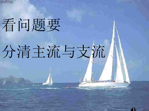 看问题分清主流和支流