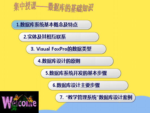 数据库系统基本概念及特点(“数据库”相关文档)共29张