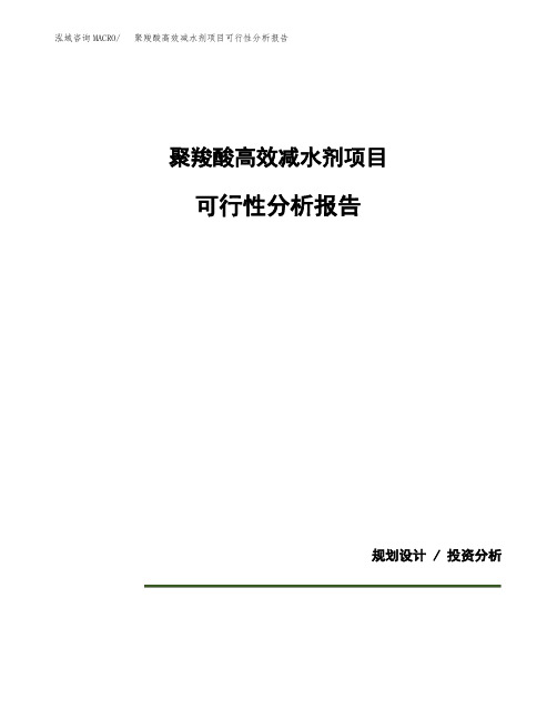 聚羧酸高效减水剂项目可行性分析报告(模板参考范文)