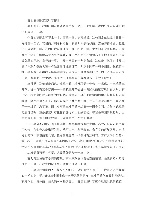 我的植物朋友三叶草作文(精选)