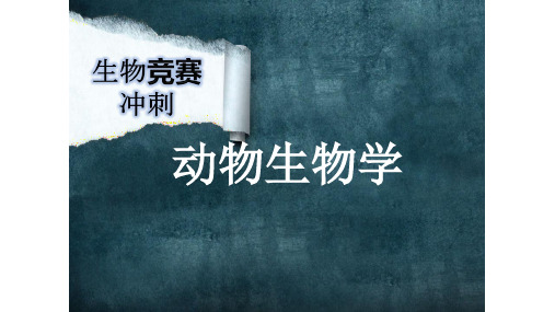 高中生物课件动物学竞赛复习共164张生物精品公开课资源