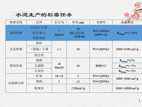 TRM原料辊磨技术介绍2010-3-1