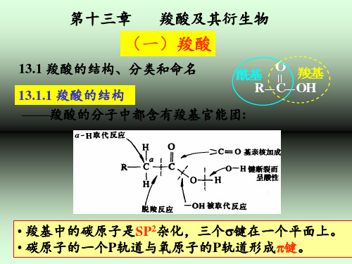 有机化学羧酸及其衍生物PPT课件