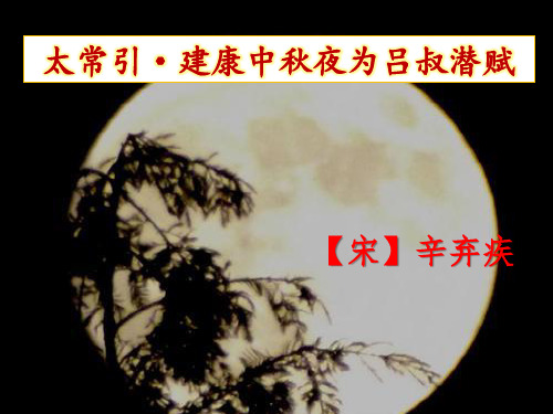 九年级语文下册第三单元课外古诗词诵读《太常引·建康中秋夜为吕叔潜赋》课件 (共26张PPT)(优质版推荐)