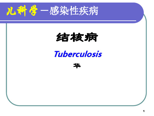 结核病ppt课件