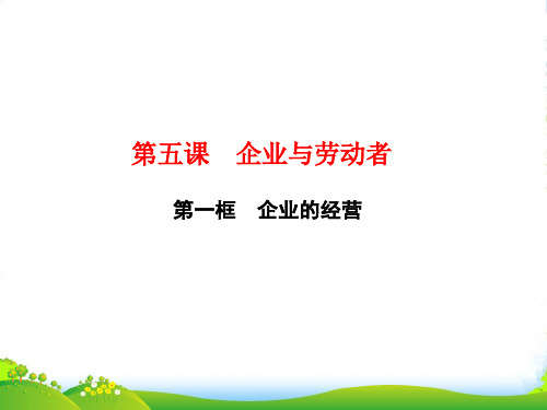 高一政治人教版必修一课件：第五课 第一框 企业的经营