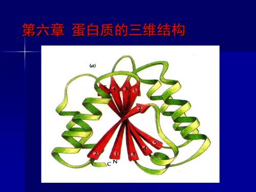 蛋白质高级结构 2013copy