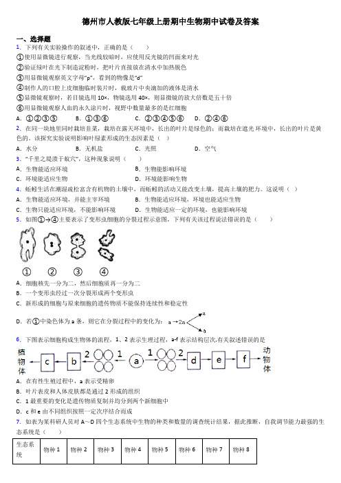 德州市人教版七年级上册期中生物期中试卷及答案