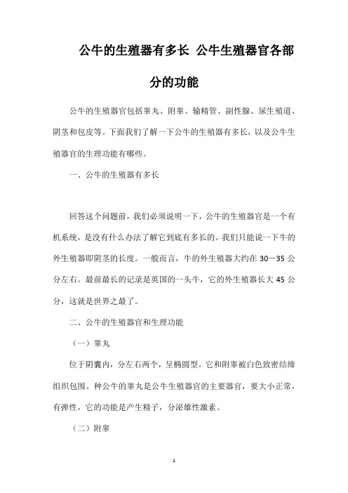 公牛的生殖器有多长公牛生殖器官各部分的功能