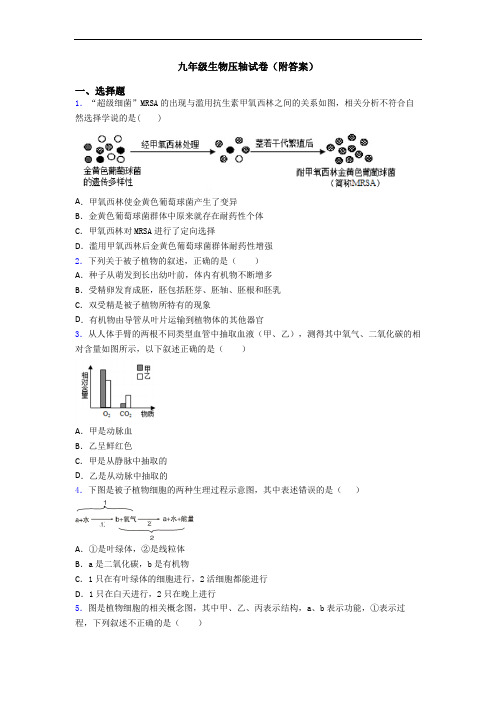 九年级生物压轴试卷(附答案)