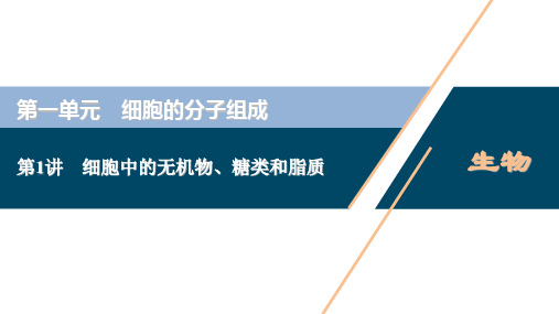 第1讲 细胞中的无机物、糖类和脂质课件新高考总复习生物