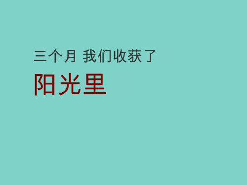 【广告策划-PPT】及时沟通最新创意提案_阳光里-PPT文档资料205页