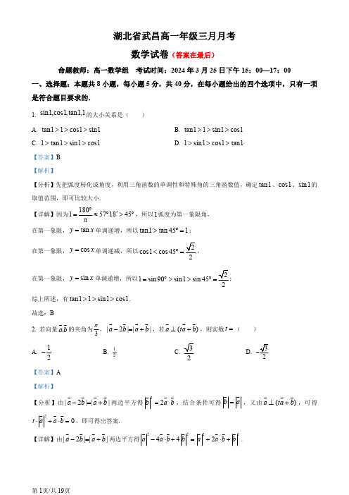 湖北省武昌2023-2024学年高一下学期3月月考数学试卷含答案