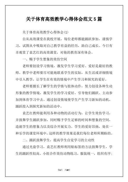 关于体育高效教学心得体会范文5篇