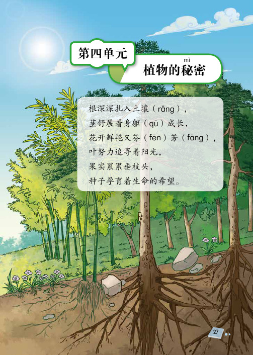 三年级科学下册第四单元植物的秘密教材图片素材(pdf)(新版)湘科版