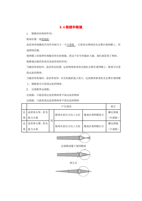 2017年秋八年级物理上册 5.4 眼睛和眼镜知识点精细梳理 (新版)新人教版