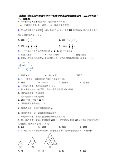 成都四川师范大学附属中学小升初数学期末试卷综合测试卷（word含答案）