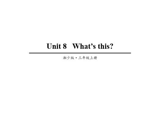 Unit 8   What’s this课件  湘少版英语(三起)三年级上册