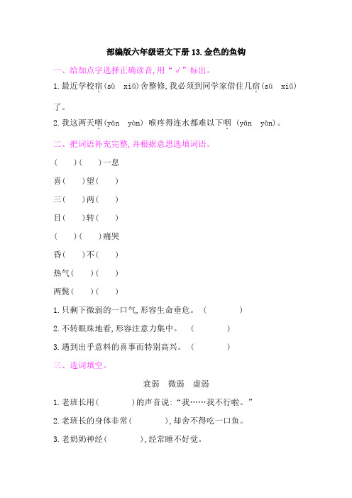 部编版六年级语文下册《13金色的鱼钩  》课后同步作业 附答案