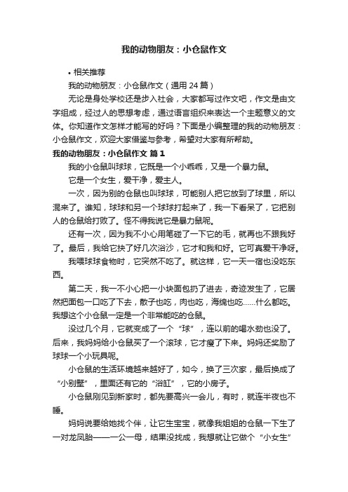 我的动物朋友：小仓鼠作文