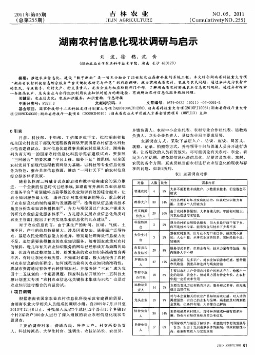 湖南农村信息化现状调研与启示