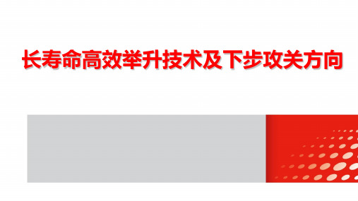 长寿命高效举升技术及下步攻关方向