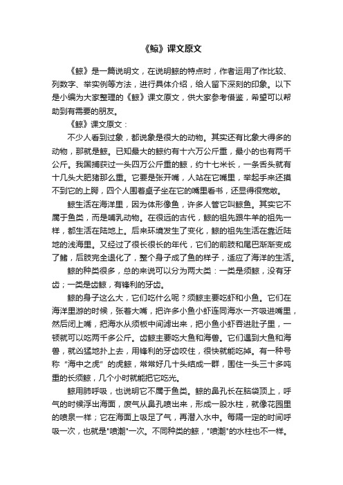 《鲸》课文原文