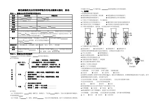 第六章 绿色植物的光合作用和呼吸作用考点梳理与强化