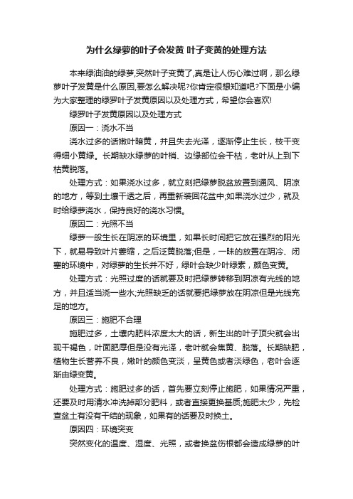 为什么绿萝的叶子会发黄叶子变黄的处理方法