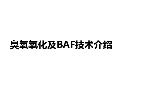 臭氧氧化及BAF介绍