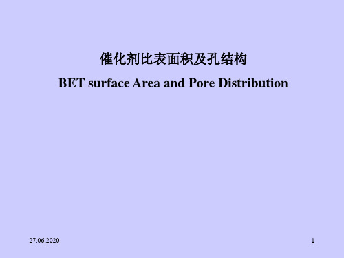 比表面和孔径分布