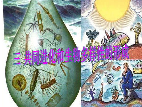 高中生物必修二第七章共同进化与物种多样性