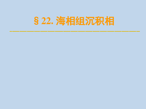 07-7海相组沉积相