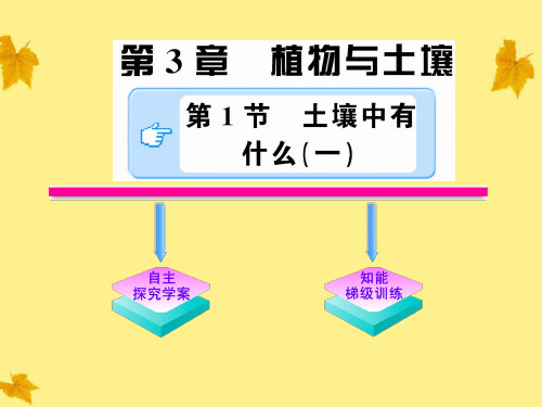 八年级科学下册 3.1.1《土壤中有什么》课件 浙教版